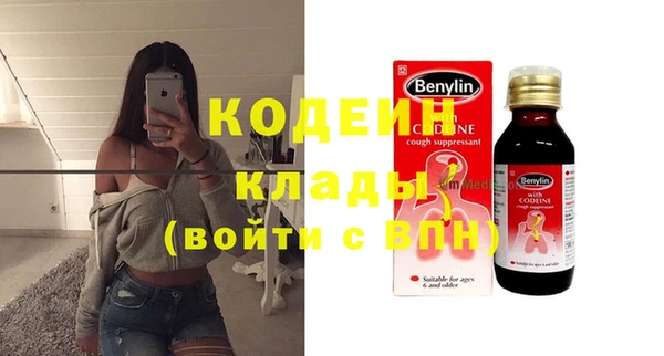 хмурый Алексин