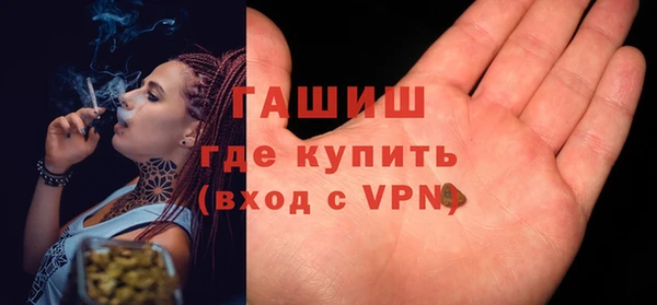 хмурый Алексин
