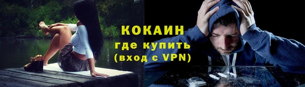 хмурый Алексин