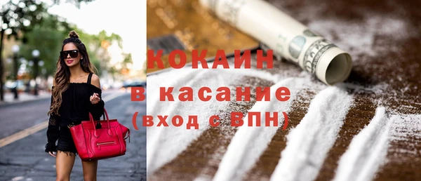 хмурый Алексин